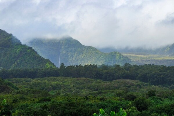 University of Hawai